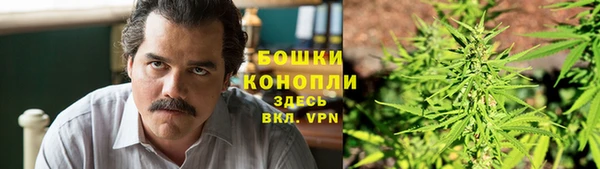 прущие грибы Балахна