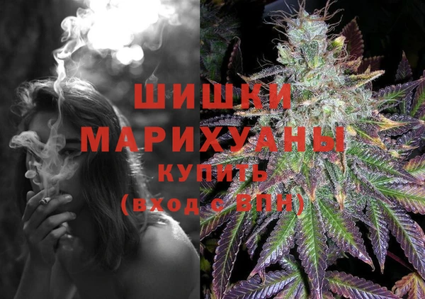 прущие грибы Балахна