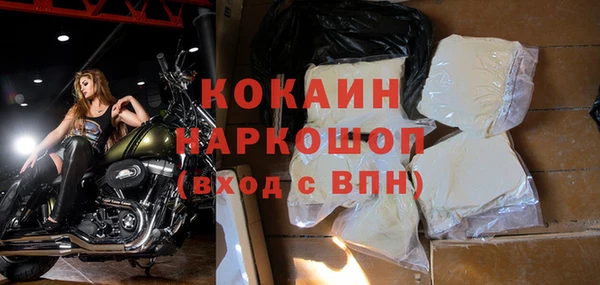 прущие грибы Балахна