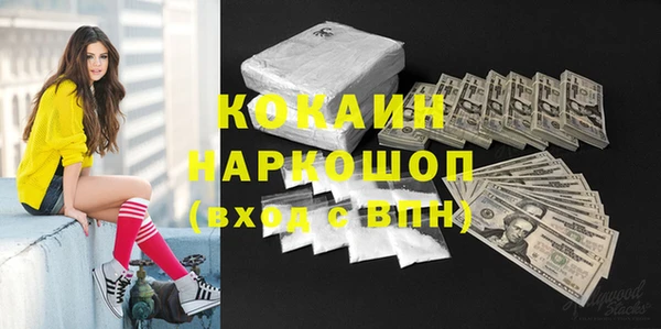 прущие грибы Балахна