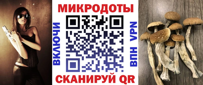 продажа наркотиков  Семикаракорск  Псилоцибиновые грибы Psilocybine cubensis 